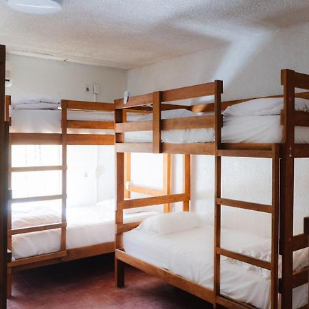 Desert Heart Hostel San Jose del Cabo Luaran gambar